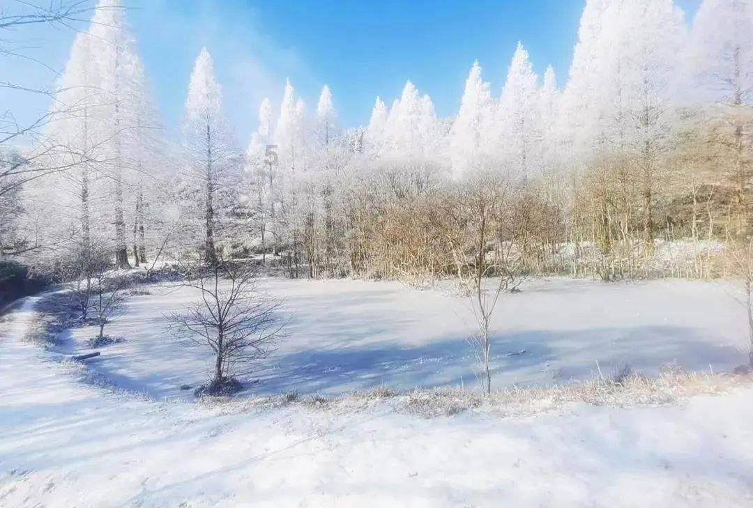 乌鲁木齐室内设计培训班