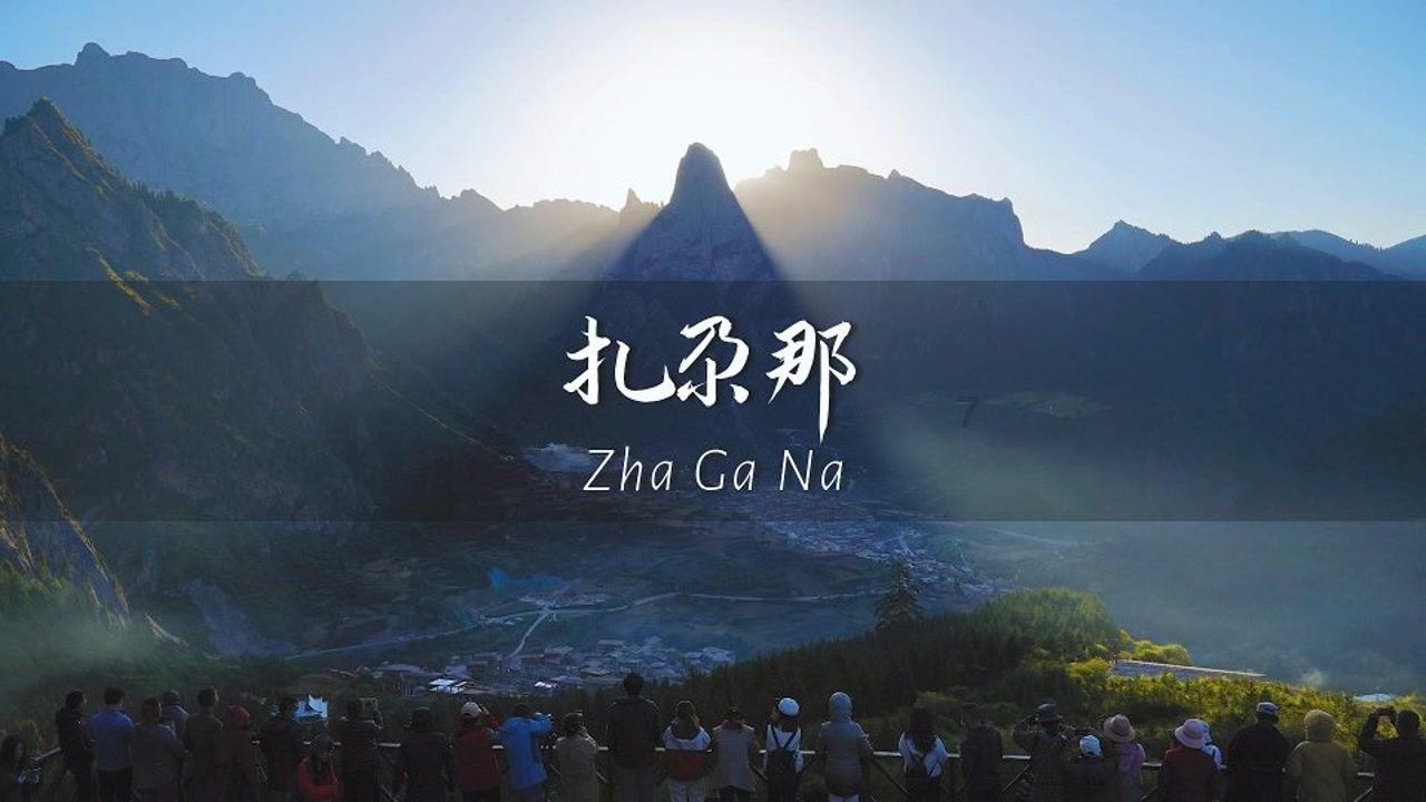数码宝贝8