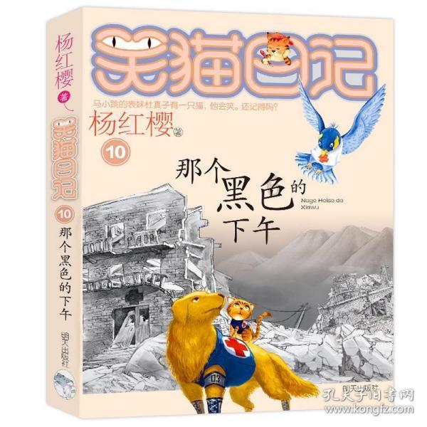 救援修女