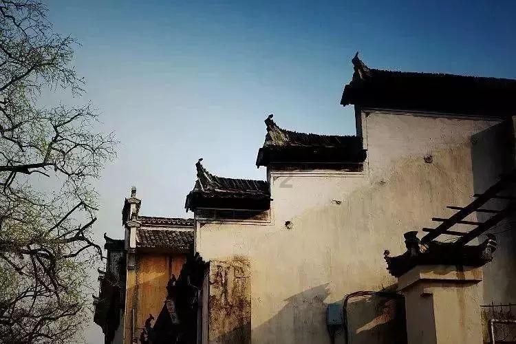 纤纤玉手变成“小灰灰”?要过年了可咋整?